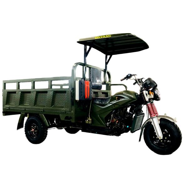 DAYANG 200cc/250cc/300cc Cargo Tricycle for Passenger Transport in Tanzania and