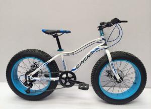 Wholesale Fork Suspension Lightweight 26 Inch Fat Tire Bike from china suppliers
