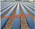 Good quality plastic mulch/Greenhouse packaging mulch jumbo rolling agriculture