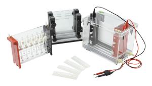 Wholesale Mini Id Tube Gel Electrophoresis System～2500ml Buffer Volume Jy-sx3 2d from china suppliers