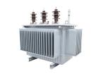 S11 Oil Immersed Type Transformer, Factory Supply Power Transformer, Hot Sale