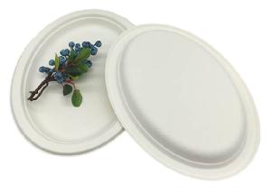 Wholesale 12 Inch Refrigerable Christmas Oval Sugarcane Paper Plates from china suppliers