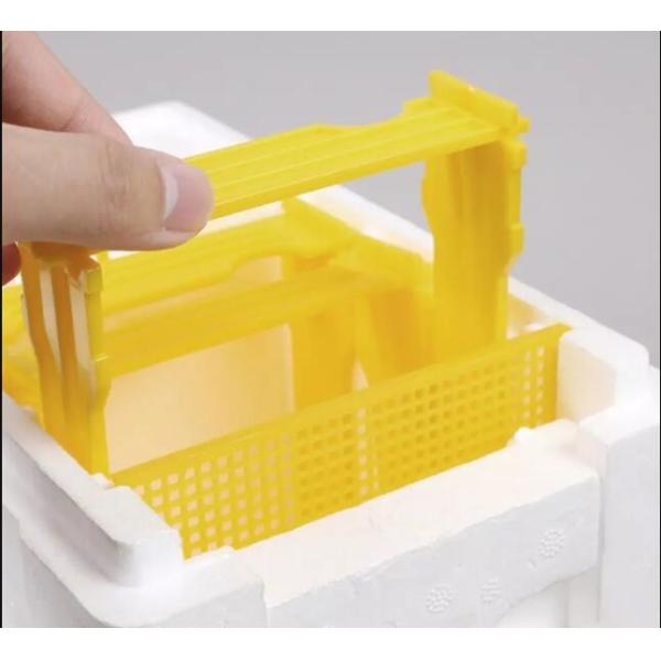 Beekeeping Tool Double Layer Foam Bee Mating Breeding Box Equipment For Bee Mating