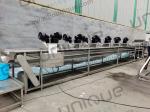 Restaurant Palm Dates Washing Machine with Selecting Conveyor in Stainless Steel