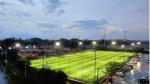 8000-15000 Dtex Artificial Football Turf With Disease Resistance 16.5 Stitches