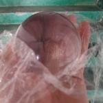 High quality 2.75"/3" 70mm/75mm clear acrylic contact Juggling ball