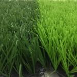 High Dtex Football Synthetic Grass S Shape Strong With UV Protection