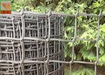 Garden Mesh Netting for Climbing Plant Support Hole Open 19 mm 0.5 Meters Wide