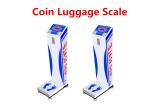 Coin Operated Weight Measurement Machine / Airport Luggage Scale With 500kg Load
