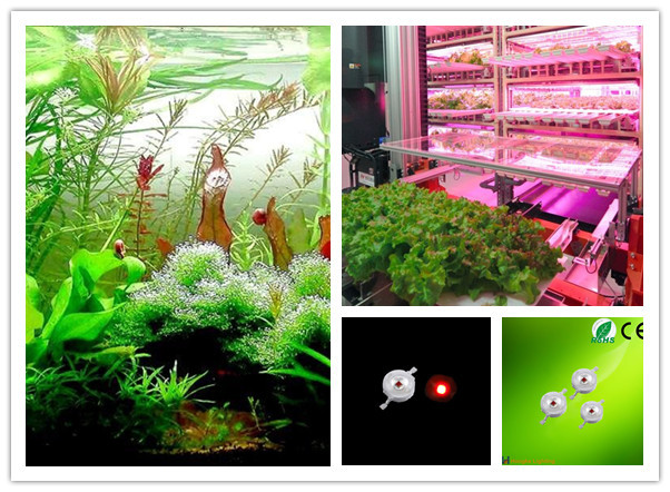 1W 630nm Red High Power Led Module_.jpg