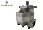 GPC-4GPC4-50-B-6-F1-30-L Vickers Series Hydraulic Gear Pump For Cranes Iron
