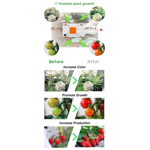 Solderless Led Lamp Beads AC COB 80W Integrated Projection Light Chip