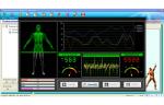 English Version Quantum Magnetic Resonance Health Analyzer AH-Q8 free software