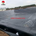 Geomembranes for Long-life Pond Liners Thickness 0.25mm 0.3mm 0.5mm 0.75mm 1.0mm