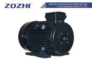 Wholesale Cast Iron Aluminium 100% Copper Wire Induction Single Three-phase Ac Hollow Shaft Motor For Italy Pump from china suppliers