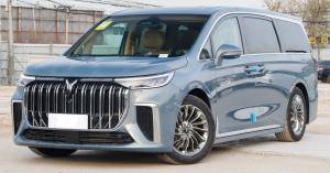 Wholesale Dream Intelligent VOYAH Electric Car VOYAH Dreamer 2022 1.5T Low Carbon Version from china suppliers