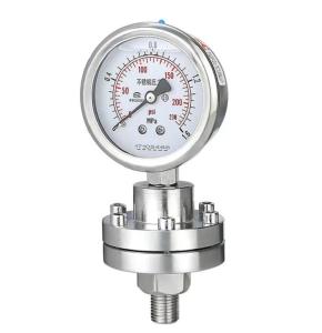 Wholesale YTP-100 SS Pressure Gauge Shock Resistant 100mm 150mm Diaphragm Pressure Gauge from china suppliers