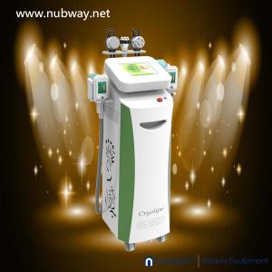 Wholesale Super fast amazing result cryolipolysis beauty equipment to lose weight from china suppliers