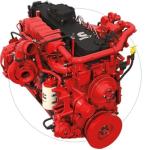 220V Electrical Start Diesel Generator Weichai Cummins 250kw 250 Kva 240 KVA