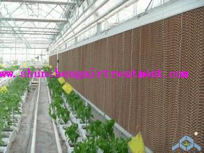 Wholesale 5090/6090/7090 farm/factory/greenhouse evaporative cooling pad with high efficiency from china suppliers