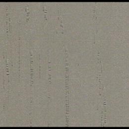 Wholesale Ductility PP Decorative Film Substrate Surfaces With Misty Rain Grain from china suppliers