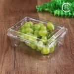 OEM/ODM Clamshell Disposable Fruit Tray And Vegetable Containers Clear PET