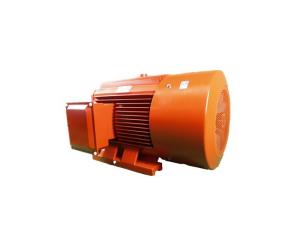 Wholesale YE3 315L2-2 200KW Low Voltage Permanent Magnet Synchronous Motor H80-H355 Frame from china suppliers