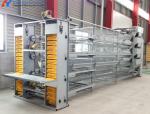 4 Tiers Broiler Chicken Battery Cage H Type Automated Battery Cage System