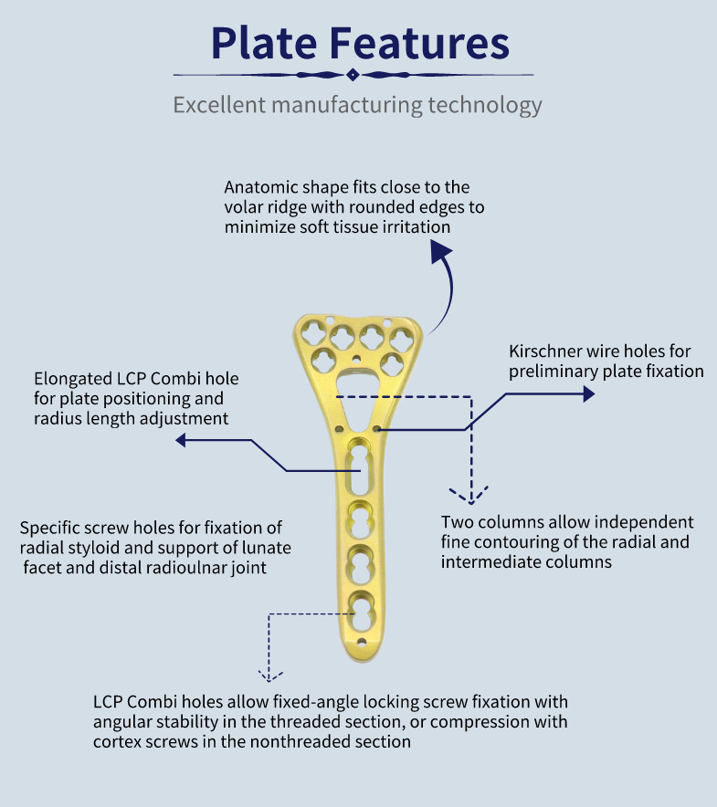 Trauma Multi Axial Palm Distal Radius Fracture Plate II