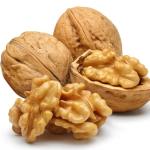 Good Quality China Big Size 32mm+/34mm+ Top Thin Raw Cashew Nuts Wholesale Raw
