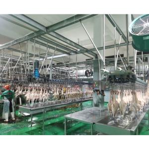 Wholesale Customized Slaughter Line for Butcher Chicken Killing Machinery 300-1000 Bph Capacity from china suppliers