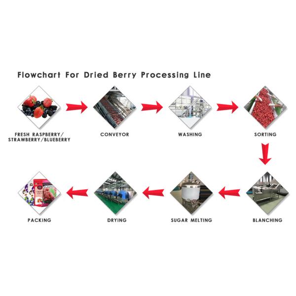 Stable Performance Dried Fruit Chips Making Machine Low Temperature Vacuum Evaporation