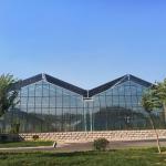 10x8 20 X 40 Big Span Venlo Multi Span Glass Greenhouse Growing Vegetable Show