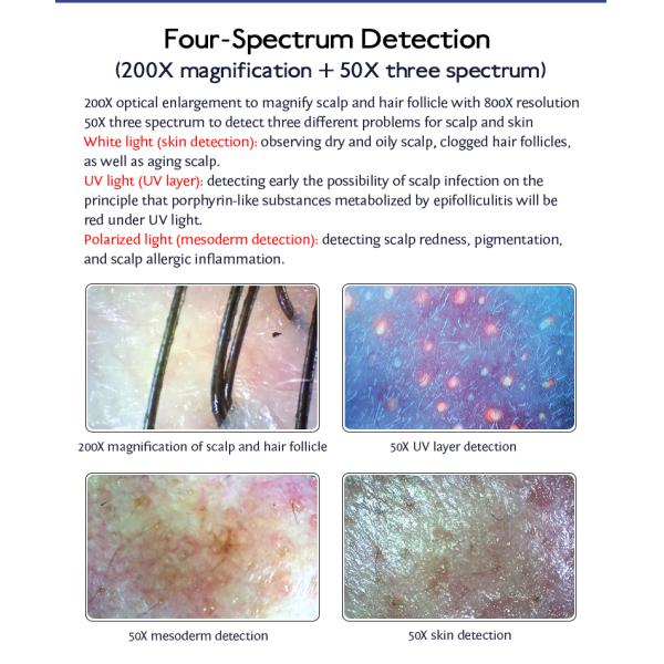 Portable Beauty Salon Hair Analyzer with Hair Scalp Scanner Voltage 110V/220V 50-60Hz