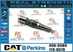 Common Rail Injector Assy 460-8213 342-5487 417-3013 304-3637 382-0709 392-9046