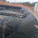 Industrial Design Style 30mil 45mil 60mil HDPE Geomembrane and Welding Machine