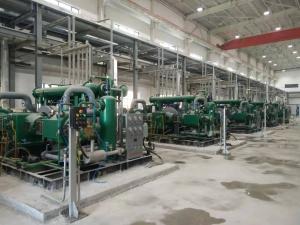 Wholesale Stainless Steel Gas Cryogenic Hydrogen Purifier Compression Skid from china suppliers