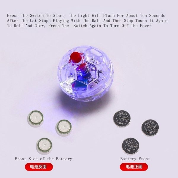 Pet Training Products Training Guide Agility Training Eco-Friendly Materials Customizable Feedback