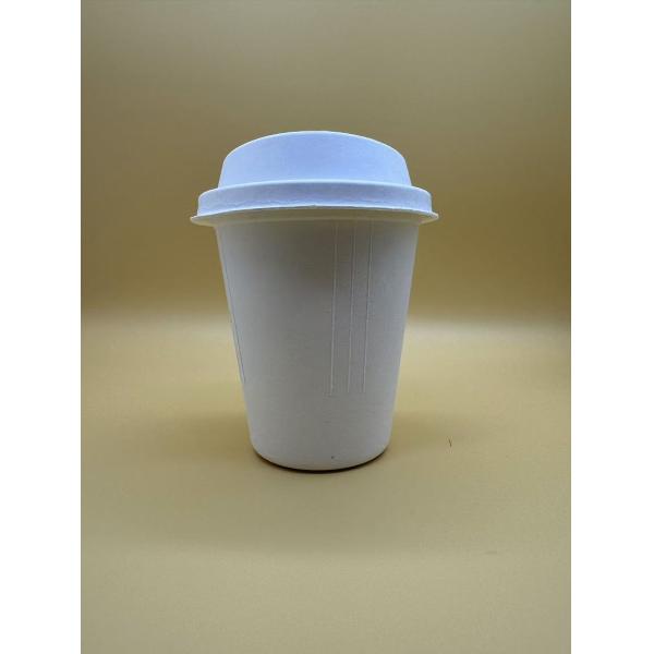 12oz Disposable Biodegradable Paper Plup Cup And Lids For Takeaway Coffee Milk Drinks