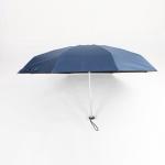 Blue Compact Wind Resistant Umbrella , Uv Protection Mens Small Umbrella