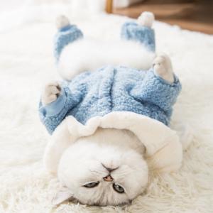 Wholesale Warm Cats Wearing Clothes Environment Friendly Bunny Ears Hoodie Pullover Design from china suppliers