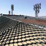 Hdpe Geocell 50mm-250mm Height for Contemporary Design Road Grid and Gravel