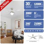 1stshine Ceiling Fan Light with Remote and Wall Mount Effortless Installation