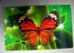 PLASTIC LENTICULAR 3d lenticular christmas cards Lenticular 3D flip Christmas
