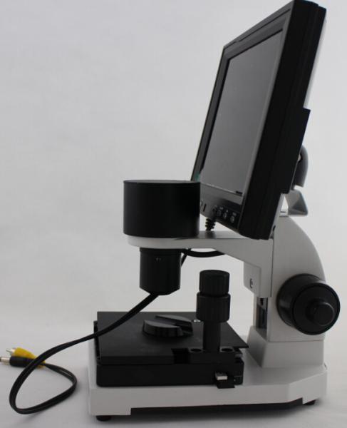 Professional Microcirculation Microscope / Nailfold Capillary Microscopy with