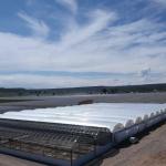 Large Aquaculture Tomato Cucumber Strawberry Hydroponics Greenhouse with High