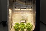 320w Full Spectrum LED Grow Lights