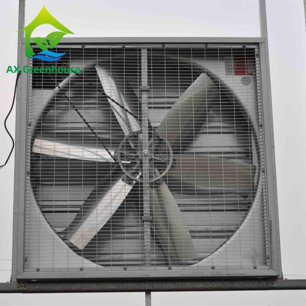 Dia 500-1250mm Blade Wet Wall Exhaust Fans Industrial Wall Mounted Extractor