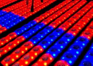 Wholesale CE Outdoor Wall Wash Lighting 14 LED Beam Effects Up Lamp For Night Club from china suppliers