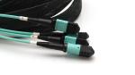 100G 72 Fiber OM3 MTP Patch Cord Aqua Cable